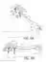 Fig. 09 - Image forming apparatus