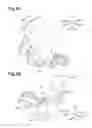 Fig. 06 - Image forming apparatus