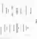 Fig. 07 - Transparent hardware-assisted memory decompression