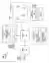 Fig. 02 - Processors, methods, systems, and instructions to load multiple data elements to destination storage locations other than packed data registers