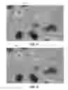 Fig. 10 - Unstructured volumetric grid simplification using sub-volume clustering
