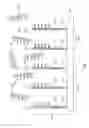 Fig. 04 - Method of nucleic acid fragment detection