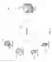 Fig. 07 - Providing temporary contact information