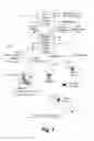 Fig. 02 - Online Shopping Facilitator Involving All Elements of a Distribution Chain