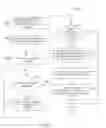 Fig. 07 - System and method of revealing real world wager outcomes based on user interactions with interactive media
