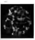 Fig. 02 - SOFT MAGNETIC ALLOY