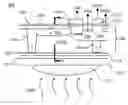 Fig. 01 - Back side illuminated CMOS image sensor arrays