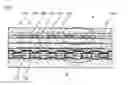 Fig. 01 - Display device