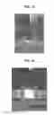 Fig. 09 - Electrode, organic light emitting diode, liquid crystal display device, and organic light emitting display device of the same