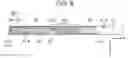 Fig. 07 - ELECTRONIC APPARATUS