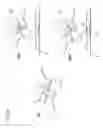 Fig. 11 - Antenna for mobile communication