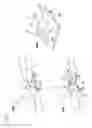 Fig. 16 - Antenna for mobile communication
