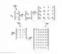 Fig. 01 - Method and device for parallel polar code encoding/decoding