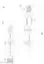 Fig. 03 - RACH transmission using multiple ports