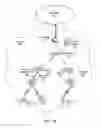 Fig. 03 - Virtual local area network mismatch detection in networks