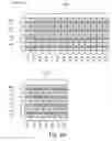 Fig. 10 - Flexible radio resource allocation
