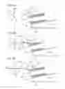 Fig. 07 - DOCUMENT TRANSPORT DEVICE, IMAGE READING DEVICE, AND IMAGE FORMING APPARATUS