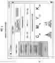 Fig. 06 - INFORMATION PROCESSING APPARATUS AND NON-TRANSITORY COMPUTER READABLE MEDIUM STORING PROGRAM