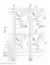 Fig. 03 - Solid-state imaging device, method of driving solid-state imaging device, and imaging system having detection pixels and image acquisition pixels