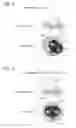 Fig. 08 - IMAGING DEVICE, ENDOSCOPE APPARATUS, AND IMAGING METHOD