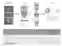 Fig. 01 - STREAMING VIDEO SYSTEM