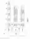 Fig. 08 - Method and apparatus for transmitting or receiving service signaling for broadcasting service