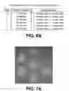 Fig. 09 - Piezoelectric array elements for sound reconstruction with a digital input