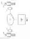 Fig. 10 - Integration of audiogram data into a device