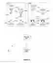 Fig. 14 - Telephone call in binaural sound localizing in empty space