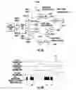 Fig. 04 - Selective non-distribution of received unlicensed spectrum communication signals by a remote unit(s) into a distributed communications system (DCS)
