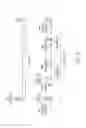 Fig. 09 - Discontinuous reception mode with two-stage wake-up