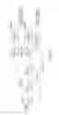 Fig. 10 - Discontinuous reception mode with two-stage wake-up