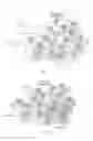 Fig. 02 - Flexible configuration of paging signals