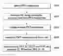 Fig. 01 - Method for reconfiguring a PDCP Reordering timer in a wireless communication system and device therefor