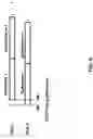 Fig. 07 - Multicarrier signal transmission in wireless communications