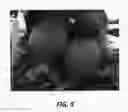 Fig. 06 - Apple tree named 'HC2-1'