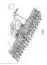 Fig. 02 - Seed firmer