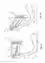 Fig. 09 - Seed firmer