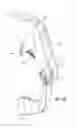 Fig. 13 - Seed firmer