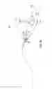 Fig. 10 - Header height control system with multiple height sensors