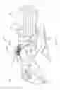 Fig. 07 - AGRICULTURAL HARVESTING MACHINE WITH AN INTERMITTENT PLUNGER