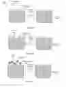 Fig. 04 - SYSTEMS AND METHODS FOR DELIVERING NUCLEIC ACIDS TO A PLANT