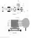 Fig. 07 - SYSTEMS AND METHODS FOR DELIVERING NUCLEIC ACIDS TO A PLANT
