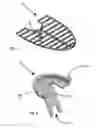 Fig. 07 - Hydroponics
