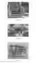 Fig. 03 - having reduced pollen content and method for the preparation thereof