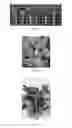 Fig. 04 - having reduced pollen content and method for the preparation thereof