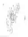 Fig. 07 - Accessory assembly for coupling a unit to an animal band