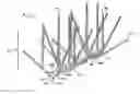 Fig. 01 - Branched Spike Bird Deterrent