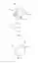 Fig. 11 - Inhaler and atomization component thereof