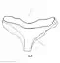 Fig. 02 - BIKINI BOTTOM